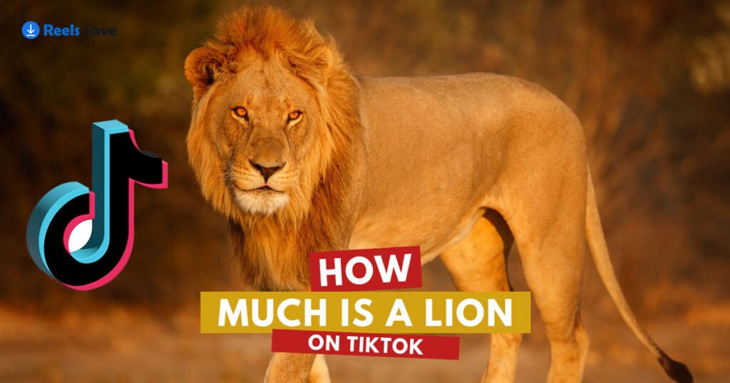 How Much Is a Lion on TikTok: Latest Exploration 2024